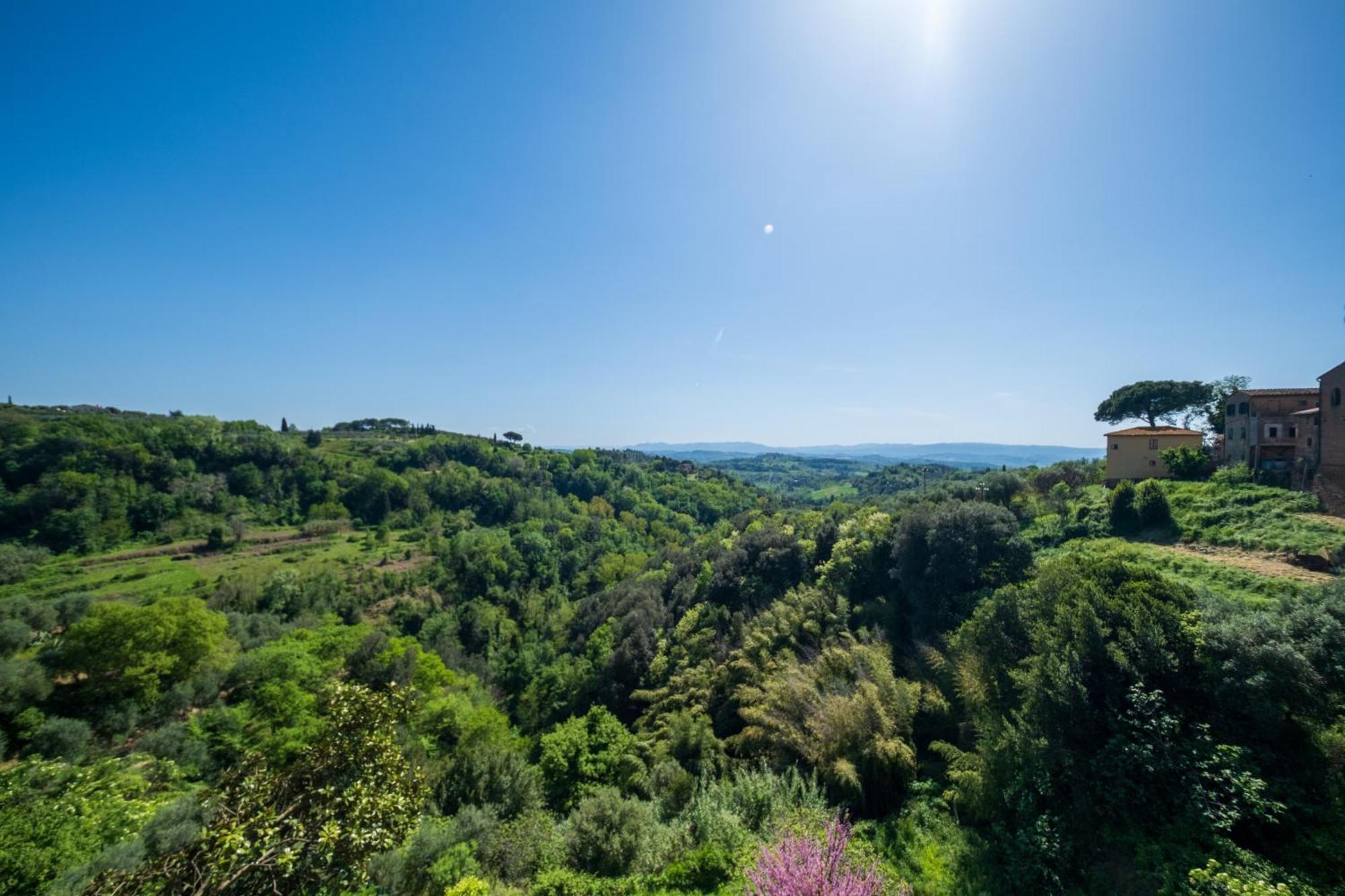 Bed and Breakfast Antica Dimora Leones Palaia Exterior foto